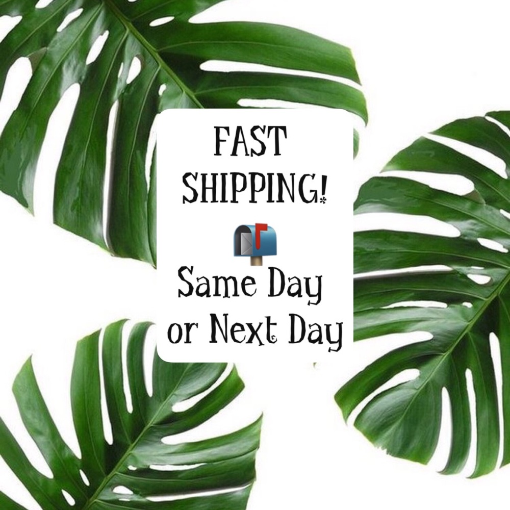 Fast Shipping